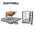 livestock scale